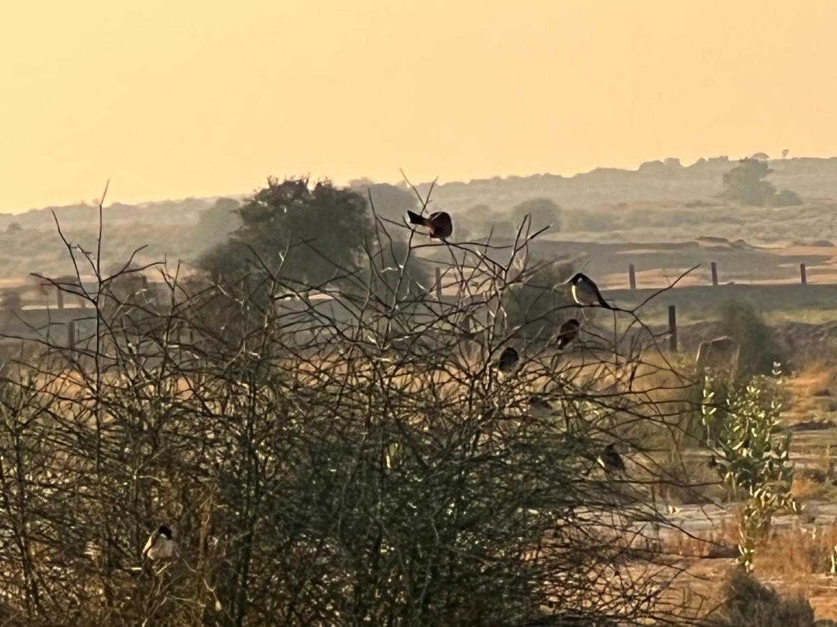 Golden Villa Jaisalmer Esterno foto